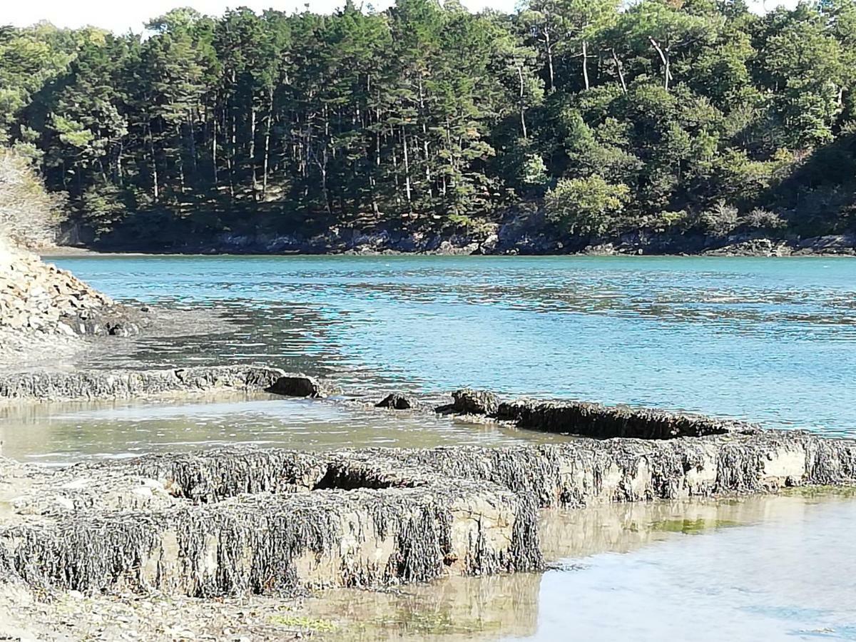 Les Roches Du Cabellou 150M De La Mer Concarneau Esterno foto